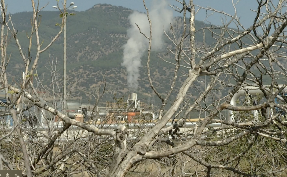 Friederike Lorenz Autorin und Regisseurin